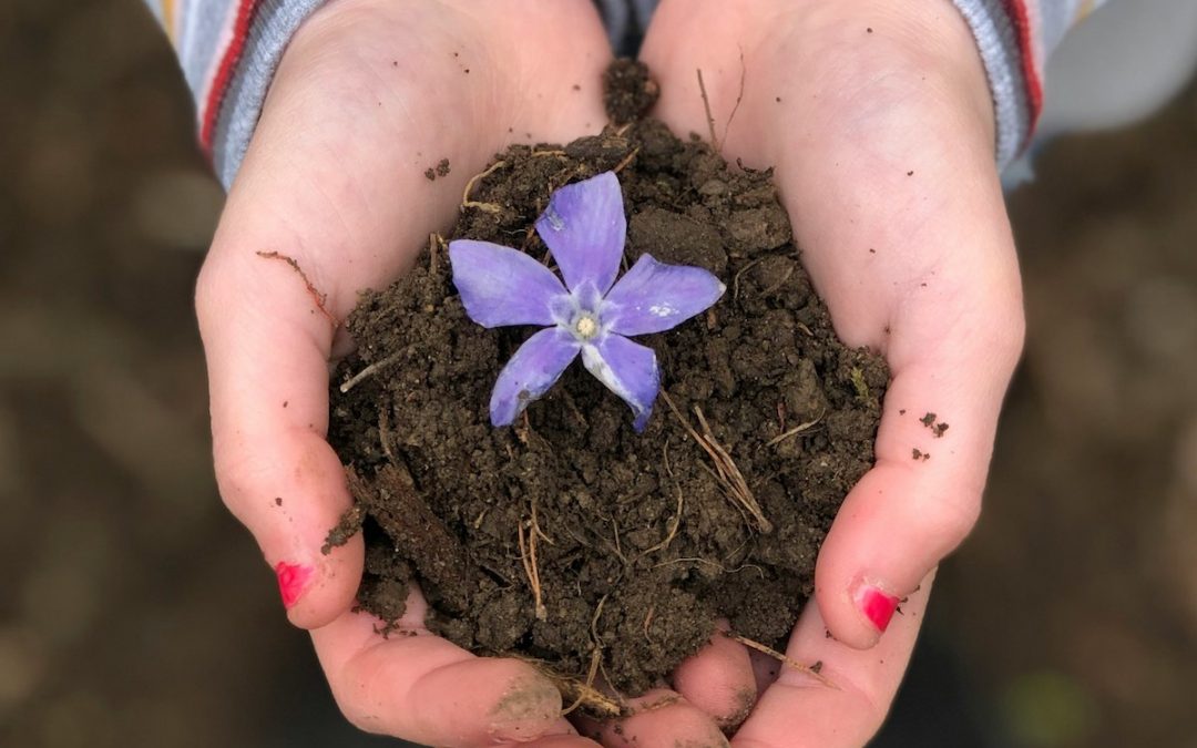 Beautiful Dirt