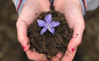 Beautiful Dirt